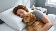 Spanie so psom v jednej posteli – je to v poriadku, alebo nie