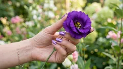 Táto farba v skutočnosti neexistuje – vymyslel si ju tvoj mozog