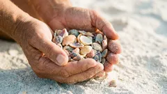 Leto na pláži: čo si môžete vziať so sebou – a čo je zakázané