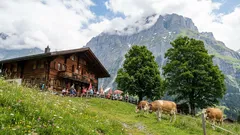 V týchto krajinách sú turisti vítaní s otvorenou náručou: cestovanie bez stresu