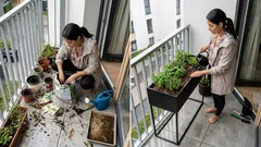 Klasické kvetináče ustupujú: v roku 2026 prichádzajú vyvýšené kovové jardiniéry – a nie je to len o dizajne