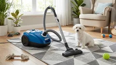 Jarné línanie: Odstránenie zvieracích chlpov z kobercov