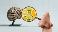 Prečo nás vône vracajú do spomienok a ako to využiť doma