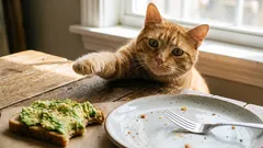 Ako zabrániť mačke, aby chodila po stoloch a kradla ľudské jedlo doma — rady odborníka