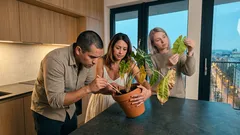 Nepanikárte predčasne: 8 signálov na listoch, ktoré prezradia, čo rastline chýba