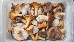 Ako správne skladovať huby v mrazničke: Mrazenie bez sklamania – rady odborníkov
