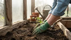 Čo sadiť v apríli na voľnom priestranstve, v skleníku a na sadenice: zoznam, ktorý stojí za to si uložiť