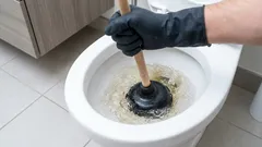 The toilet got clogged at the worst possible moment: effective tips from an expert